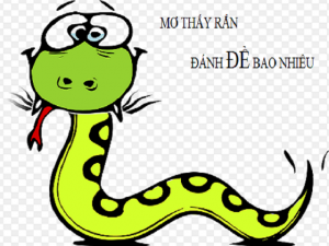mo thay ran can danh con gi